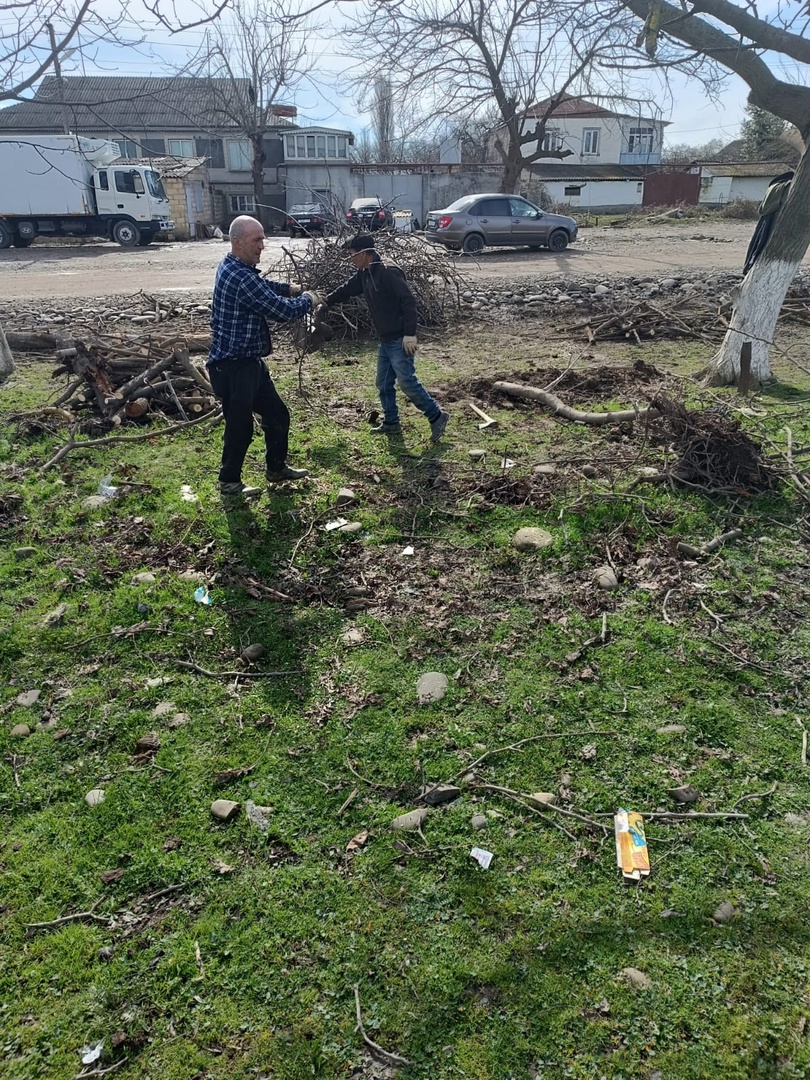 Работниками АСП &quot;сельсовет Новомакинский&quot; производится сбор, очистка и распиловка сухих деревьев по ул. В.Ленина с. Новая Мака, вдоль федеральной трассы &quot;Кавказ&quot;..