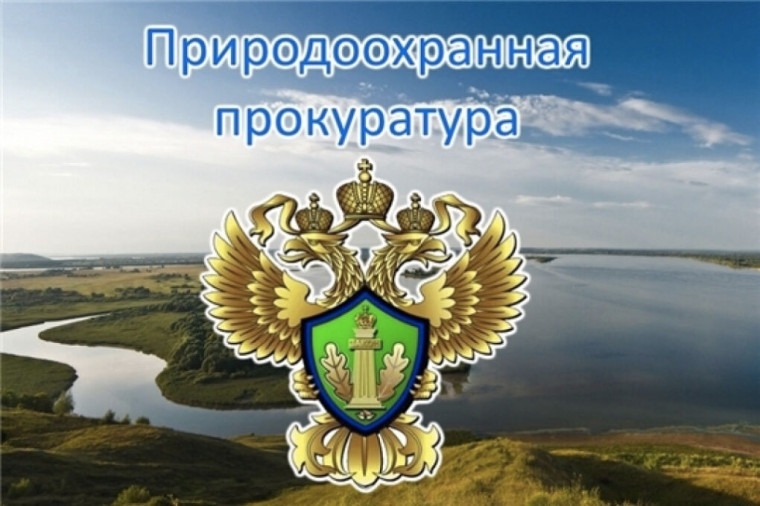 Природоохранный прокурор разъясняет. Природоохранный прокурор разъясняет.