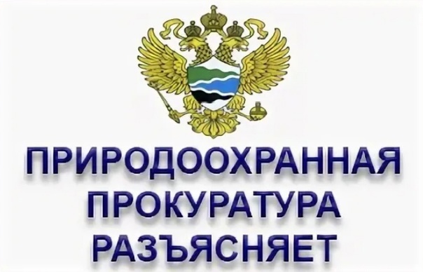 Природоохранная прокуратура разъясняет. Природоохранная прокуратура разъясняет.
